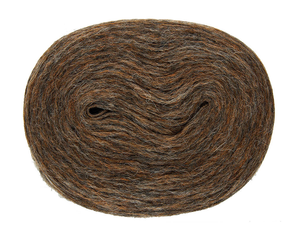 Plötulopi - Í myrkum skógi 2020