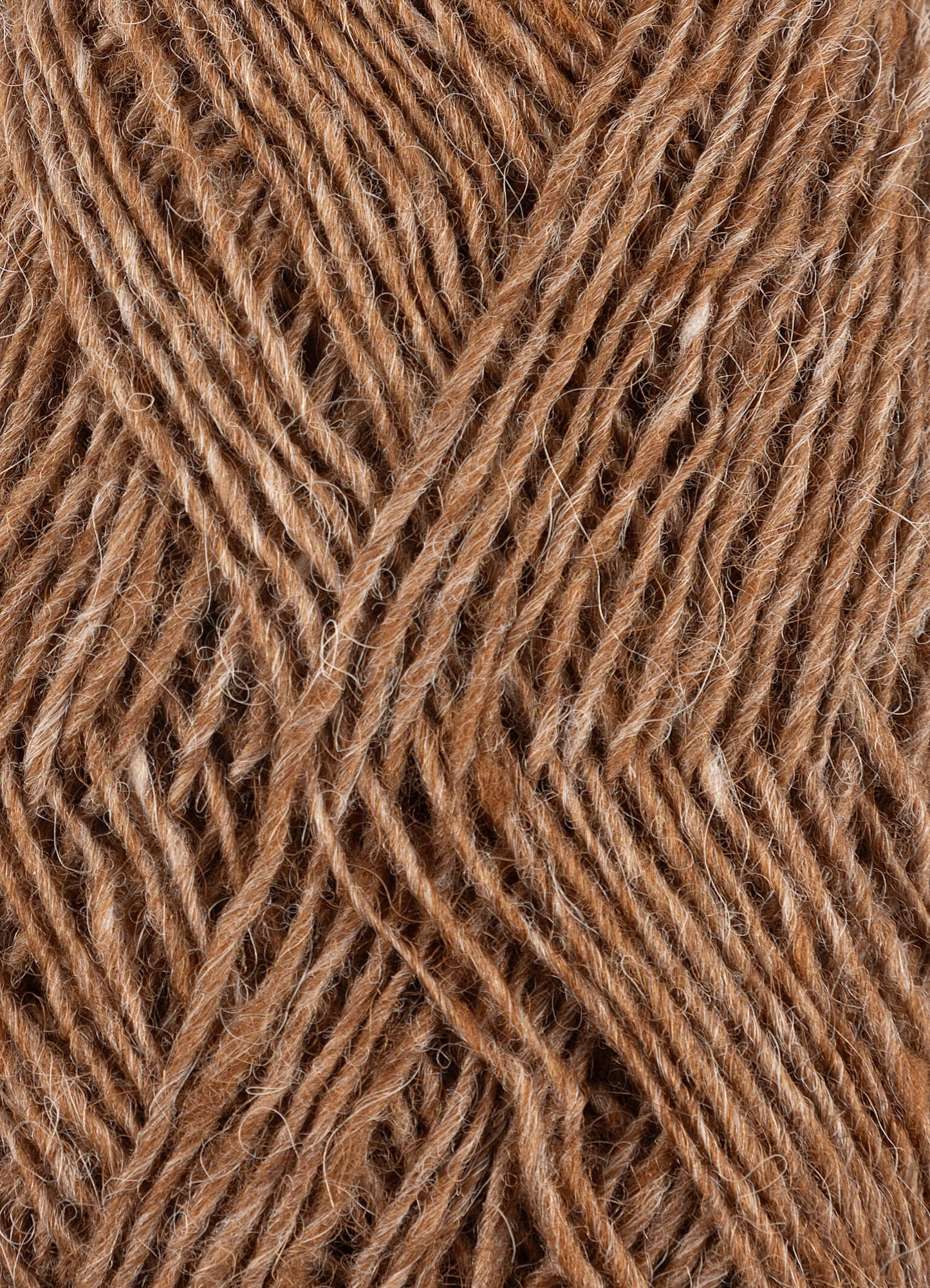 Fjallalopi - Mórauður 3002