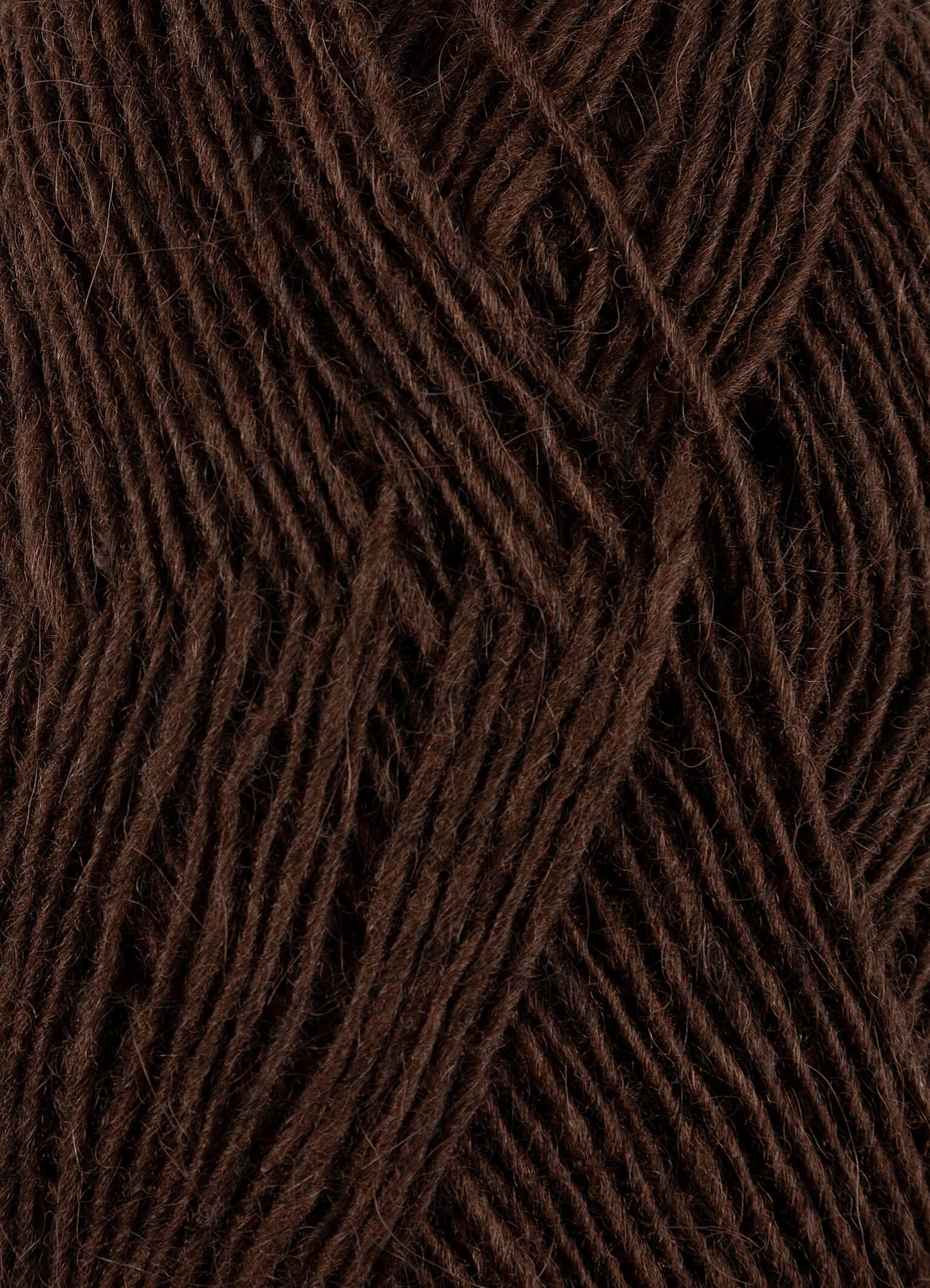 Fjallalopi - Djúpbrúnn 3003