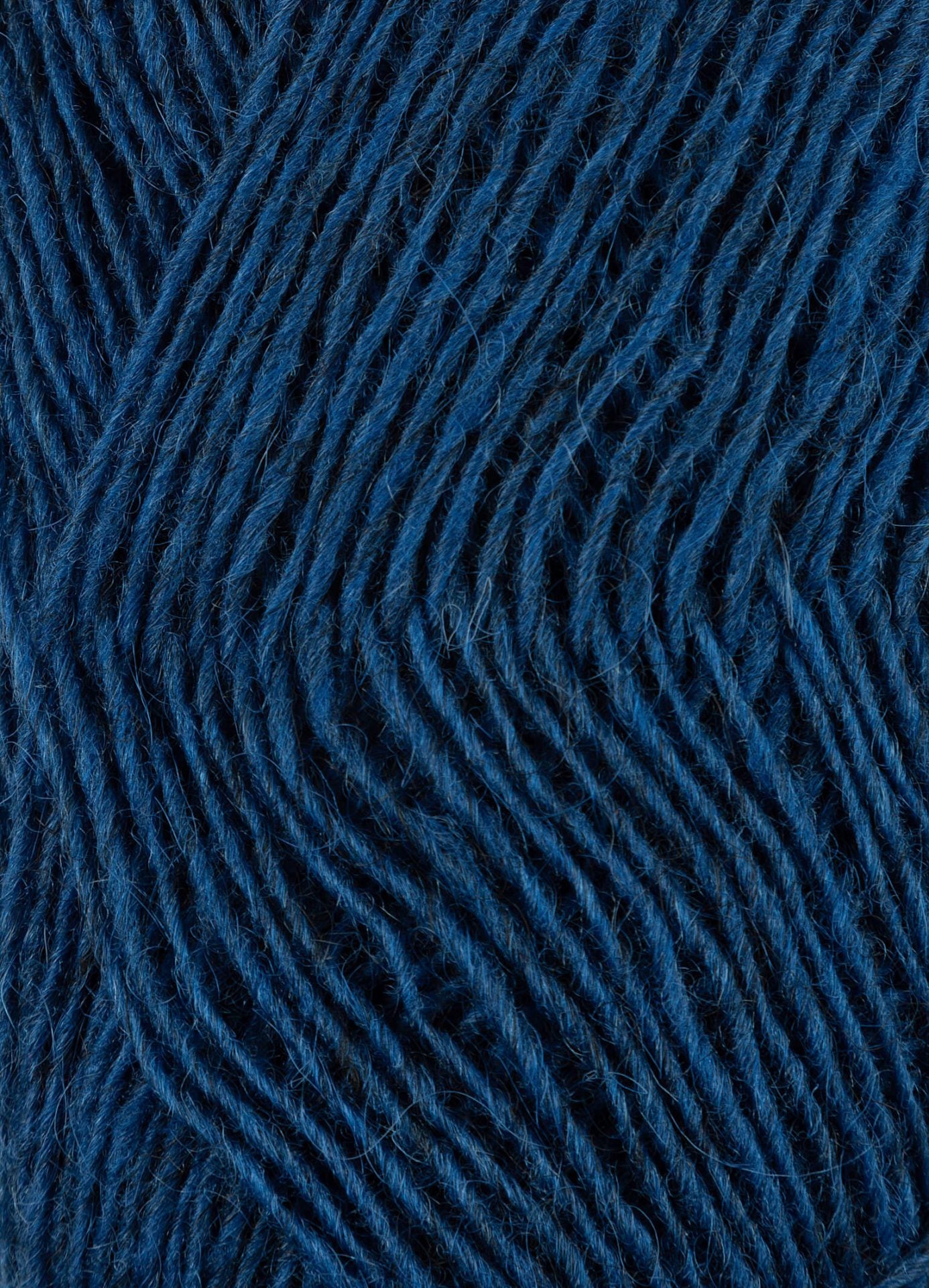 Fjallalopi - Víkurblár 3021