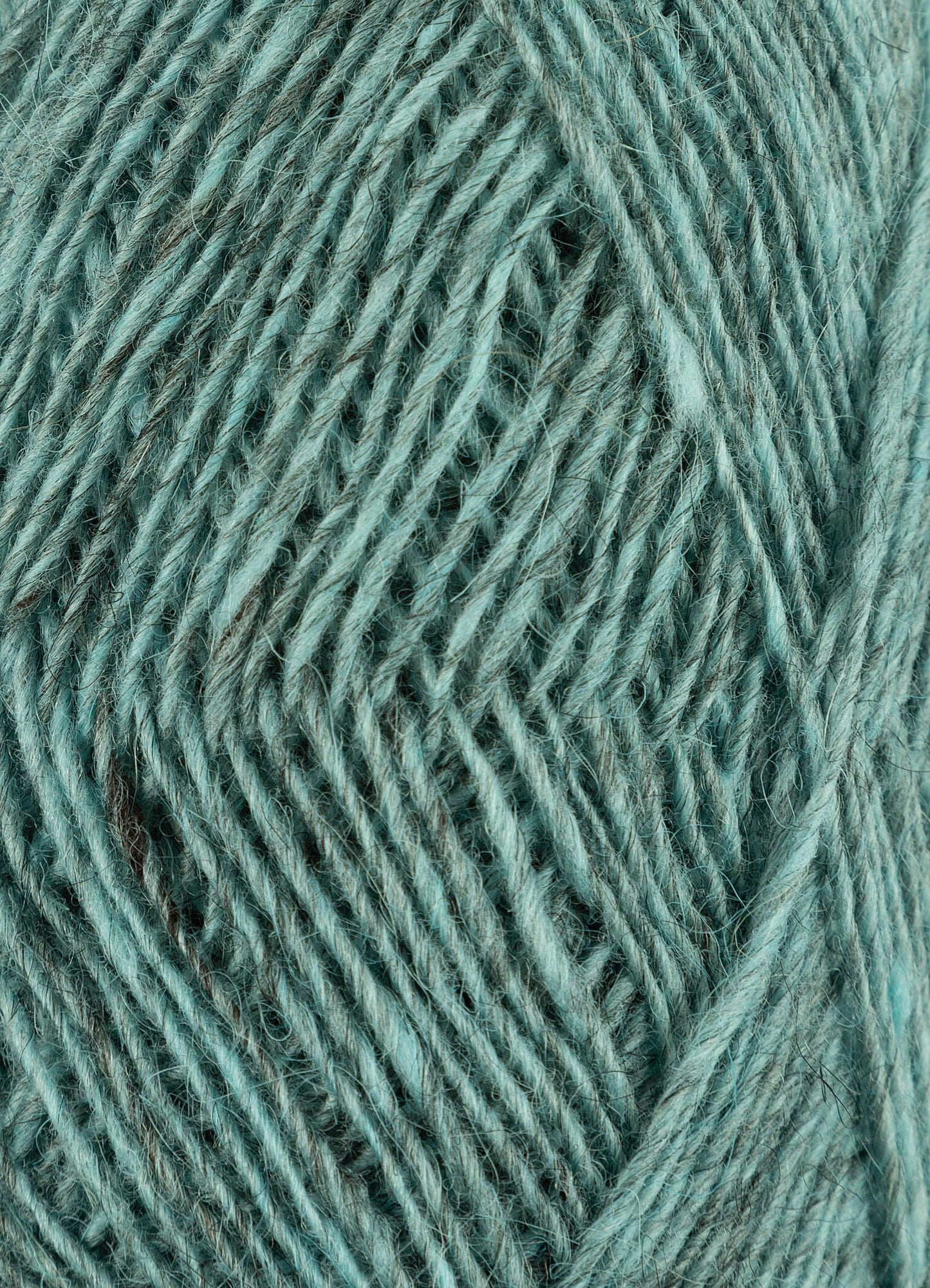 Fjallalopi - Jökulsandur 3024