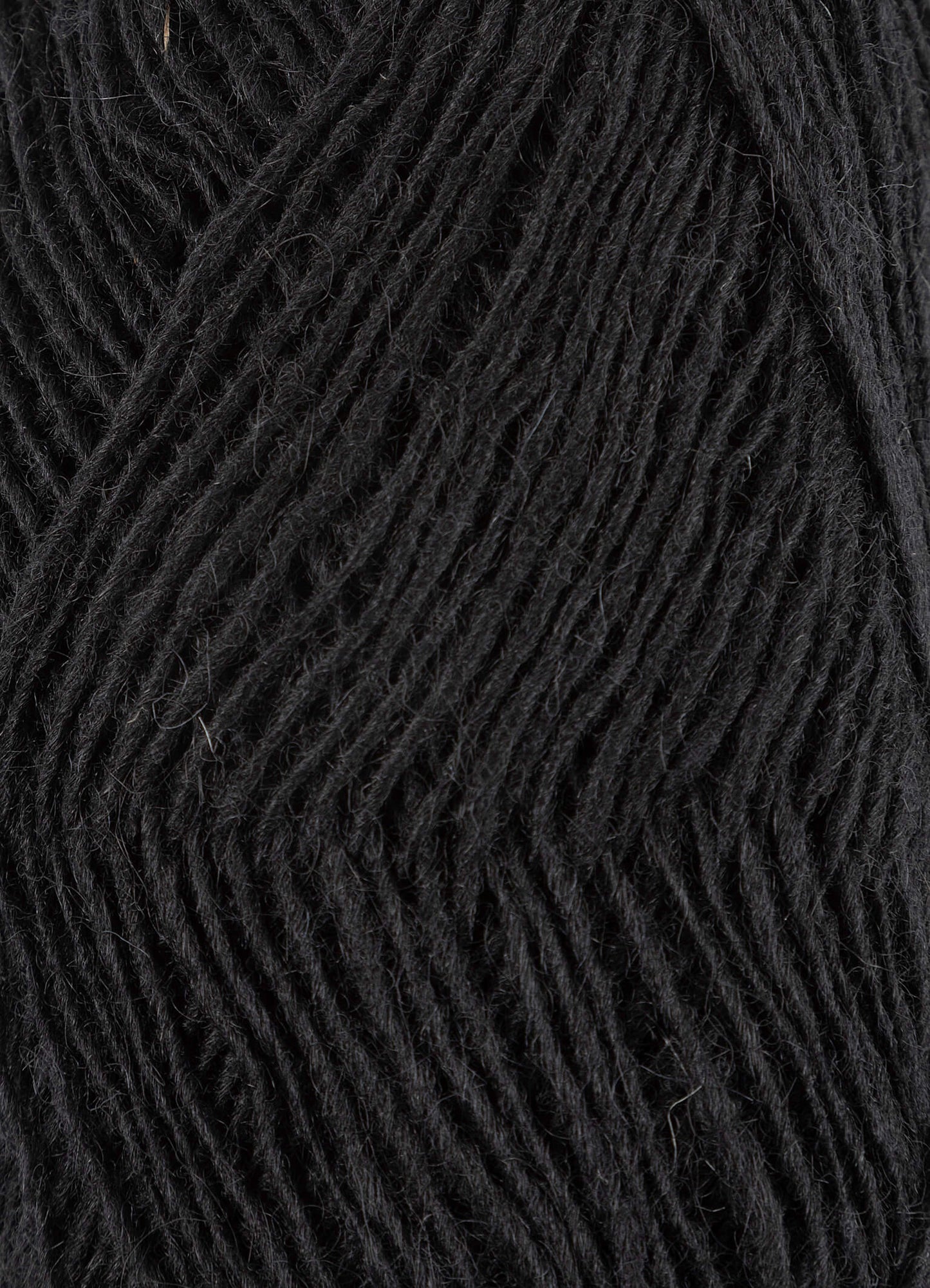 Fjallalopi - Hrafnsvartur 3059