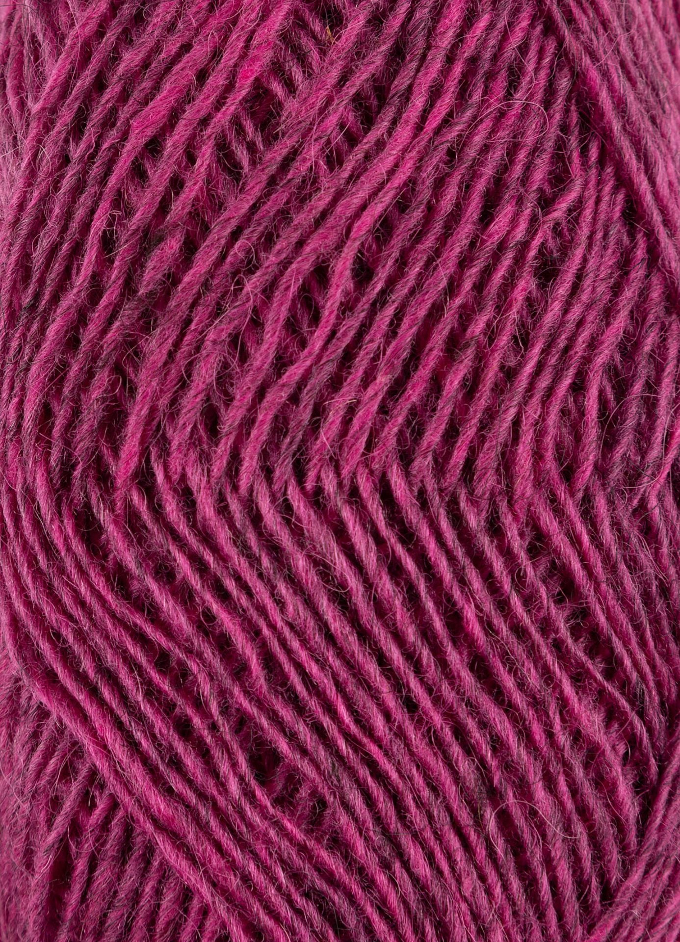 Fjallalopi - Eyrarrós 3070