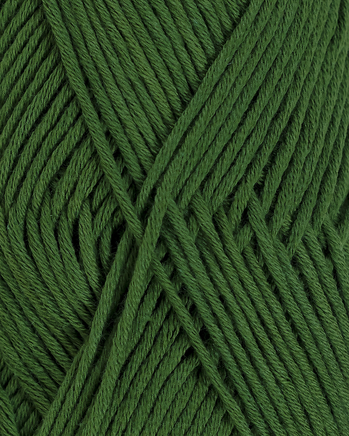 Rauma Garn - Petunia - Skogsgrøn (347)