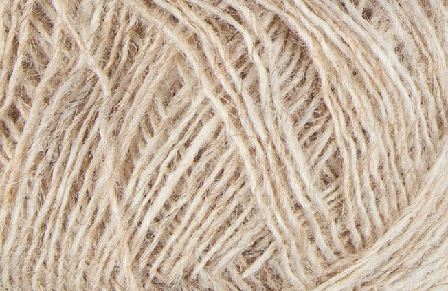 Einband - Ljósmóleitur 1038