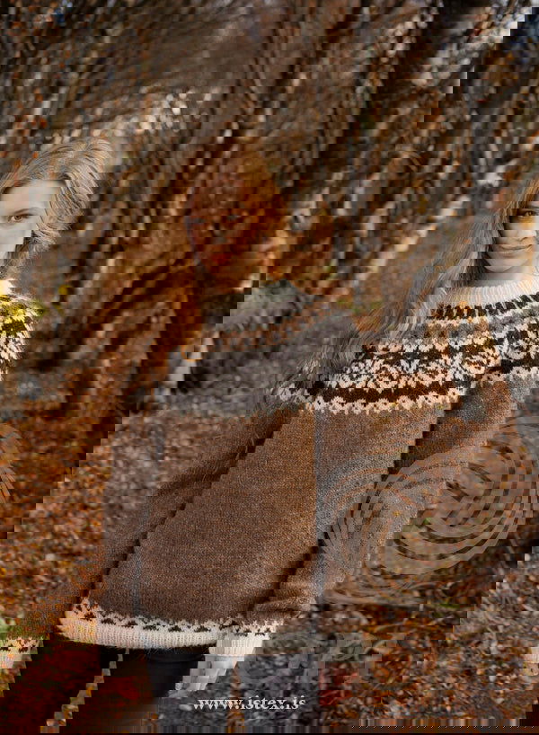 📝 Afmæli (40-14) – Islandsk sweater opskrift i Léttlopi