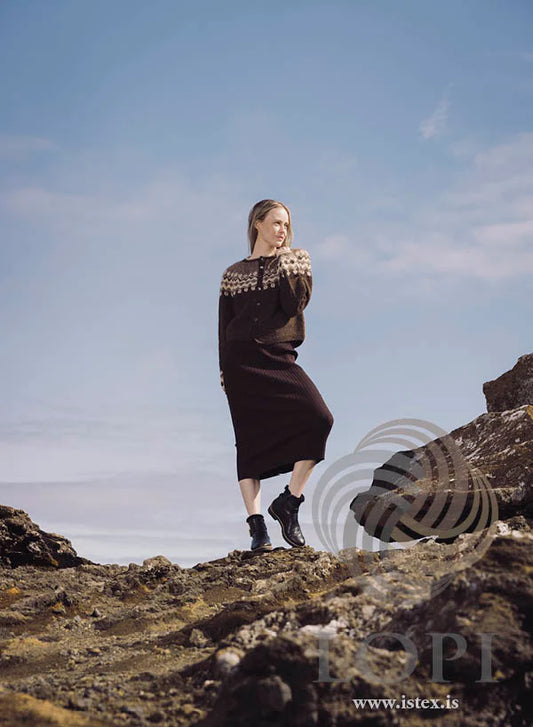 Punktar – Prikker Sweater af Védís Jónsdóttir 🟤🔵⚪ (43-16)