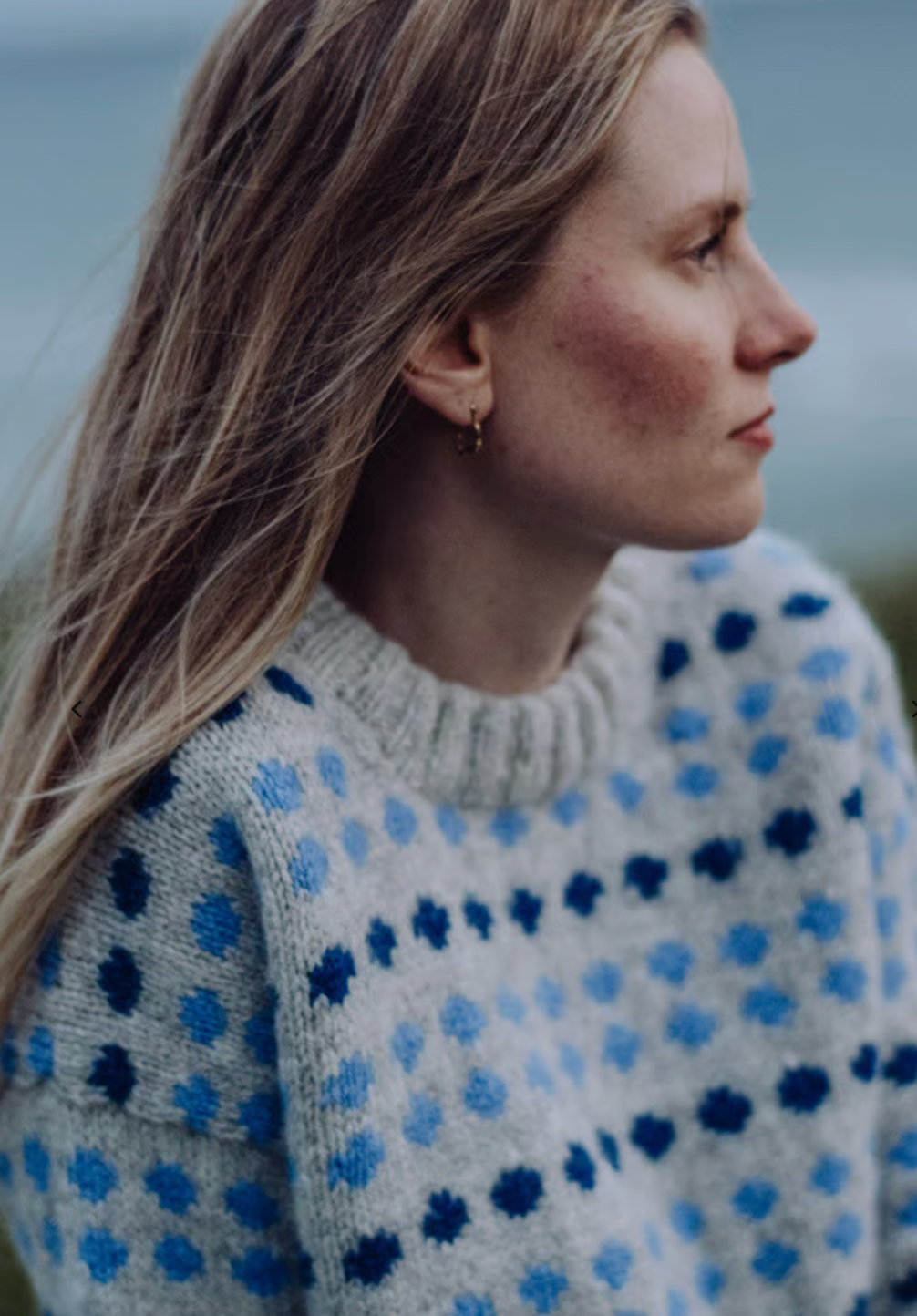 🫐 Skovbærsweater – strikkekit