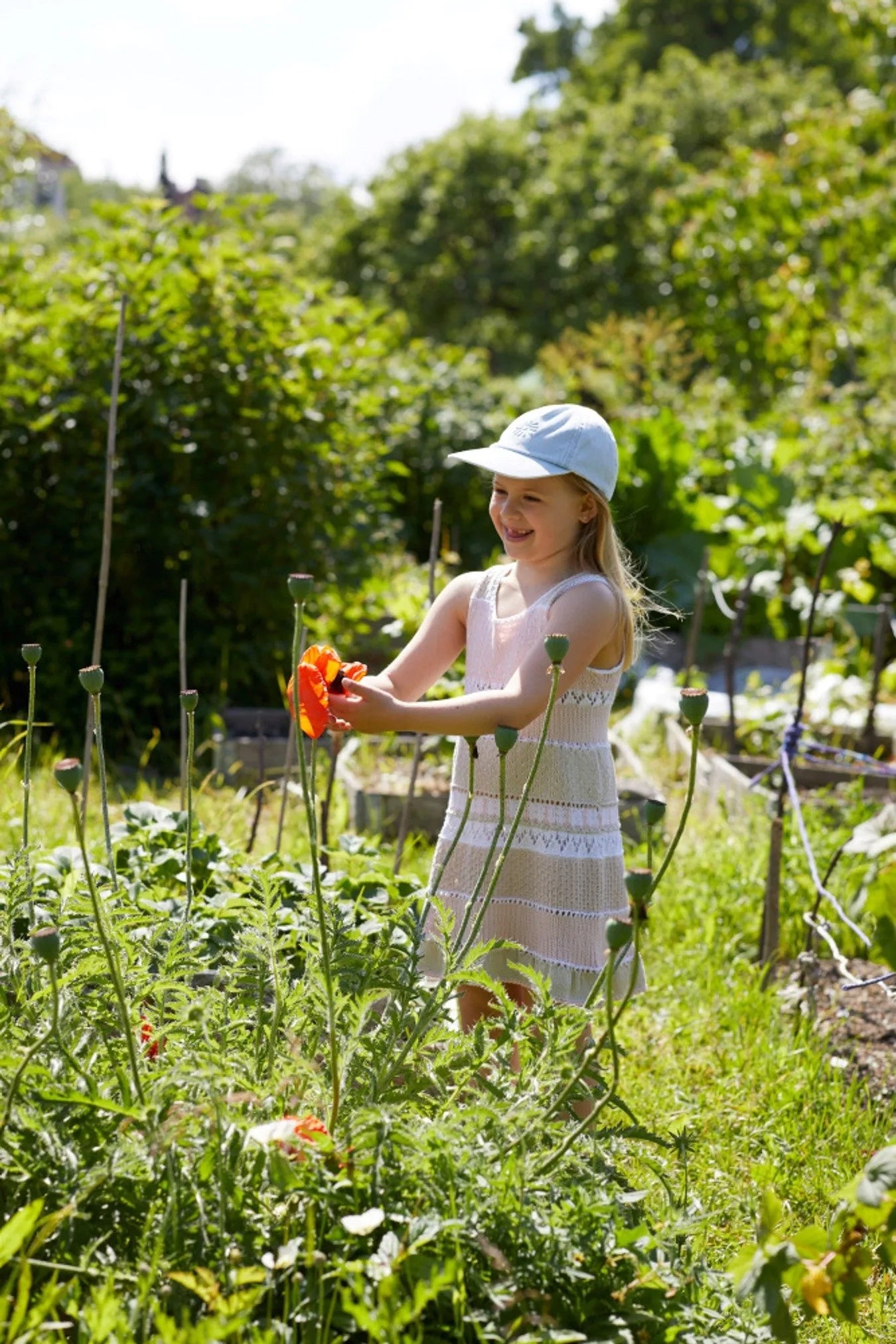 Petrinekjole - i Pandora fra Rauma - opskrift 456-1